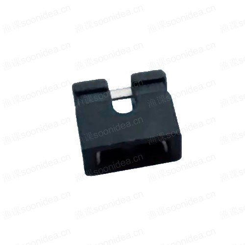 electronic chip